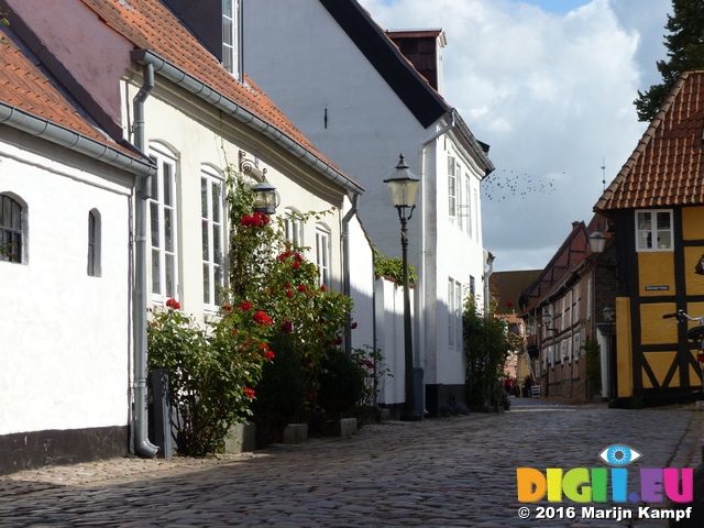 FZ033267 Old street in Ribe